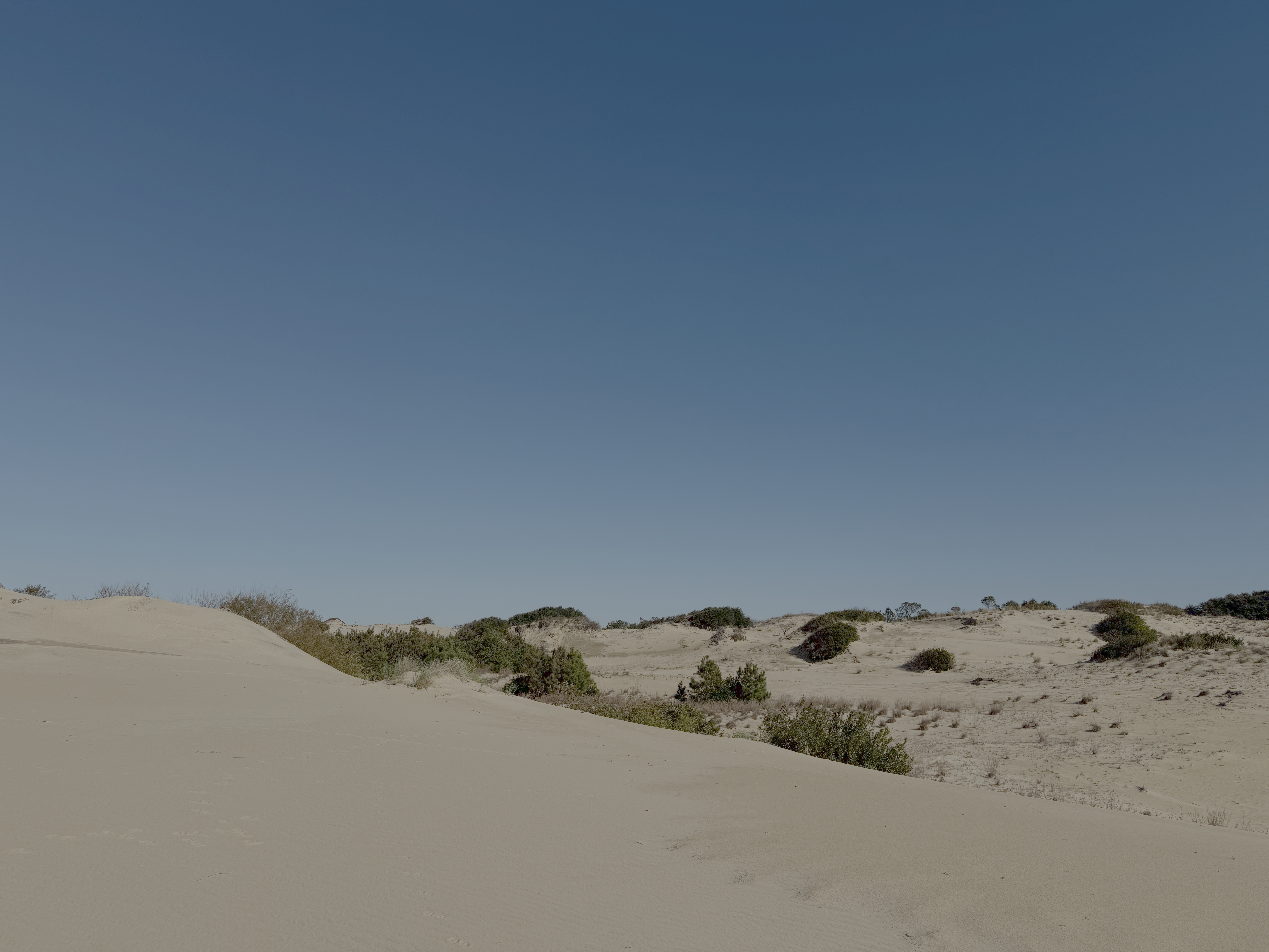 that house jockys ridge state park dunes